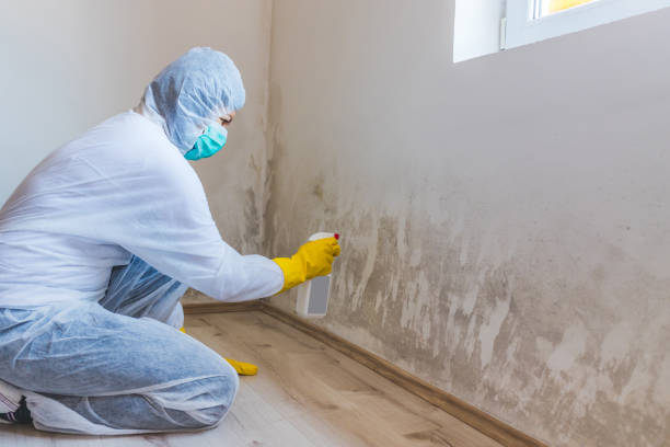 Licensed Mold Testing service in Richmond, TX - WQB Mold Removal
