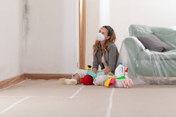 Reliable Mold Testing contractor in Richmond, TX by WQB Mold Removal